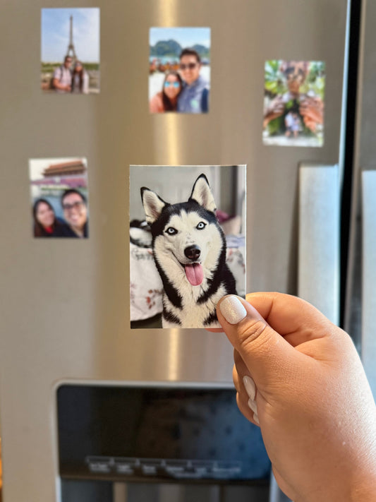 Flexible magnets 2.5 in x 3.5 in